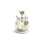 Butterfly Ginkgo 9 Piece Demitasse Cups and Stand Set