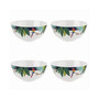 Sara Miller Parrot Bowl, Set of 4