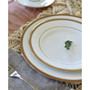 Charlotta Gold Set of 4 Dinner Plates, Service For 4