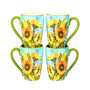 Sun Garden 16 Piece Dinnerware Set