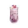Cristal D’Arques Set of 4 Highball Glasses