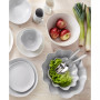 Sophie Conran  Floret and Arbor Collection