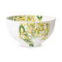 Amazonia Rice Bowl