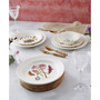 Botanic Garden  Harmony Opal 4 Piece Dinner Plate Set