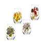 Botanic Garden Set/4 Stemless Wine Glasses