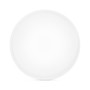 Artesano Dinner Plate