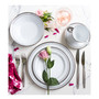 Rochester Platinum 5 Piece Place Setting