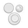 Whiteridge Platinum 5 Pc Place Setting