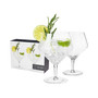 Raye Angled Gin & Tonic Crystal Glasses, Set of 2, 14 Oz