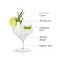 Raye Angled Gin & Tonic Crystal Glasses, Set of 2, 14 Oz