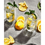 Cosmos Double Wall Highball Glasses, Set of 4