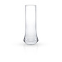 Cosmos Stemless Champagne Glasses - Set of 4