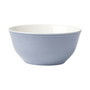 Color Loop Horizon Blue All Purpose Bowl