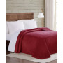 Velvet Plush Twin/Twin XL Blanket