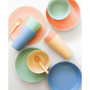 Essential Polypropylene Jumbo Assorted 4 Pack