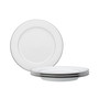 Spectrum Set of 4 Dinner Plates, Service For 4