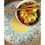Ella Ramen Bowl and Dinner Bowl Set in Red