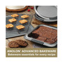 Advanced 9" x 5" Loaf Pan with Drip Pan Insert