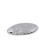 Designs Aluminum Harvest Turkey Oval Platter