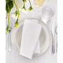 Continental Solid Texture Water and Stain Resistant Napkins, Set of 4