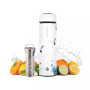 Chicago Insulated Tea Infuser Bottle, 15.2 fl oz Capacity with Long Tea Infuser