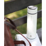 Chicago Insulated Tea Infuser Bottle, 15.2 fl oz Capacity with Long Tea Infuser