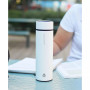 Chicago Insulated Tea Infuser Bottle, 15.2 fl oz Capacity with Long Tea Infuser