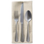 Variegated Napkin, Set of 6
