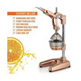 Premium Citrus Juicer