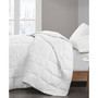Four Seasons Goose Feather & Good Down Filling Blanket, Twin