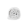 Four Seasons Goose Feather & Good Down Filling Blanket, Twin