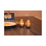 Pomegranate Salt and Pepper Shakers Set of 2