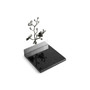 Black Orchid Dinner Napkin Holder