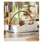 Nature Napkin Holder