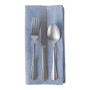Solid Chambray Napkin, Set of 6