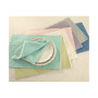 French Perle 19" x 19" Napkin