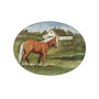 York Stables Oval Platter 16"