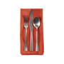 Design Import Spice Solid Napkin, Set of 6