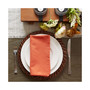 Design Import Spice Solid Napkin, Set of 6