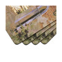 Venetian Scenes Placemats, Set of 4