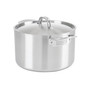 Pro 5 Ply 8qt Stock Pot