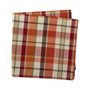 Pumpkin Spice Plaid Napkin Set