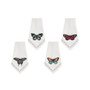 Botanic Garden Harmony Napkins by Avanti, Set of 4