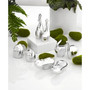 Savanna Hippo 2-Pc. Salt & Pepper Shaker Set