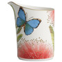 Serveware, Amazonia Creamer