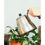 Marrakesh Stainless Steel Gooseneck Pour Over Dripper Kettle , 34 fl oz Capacity