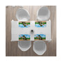 Dinosaur Place Mats, Set of 4
