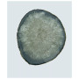 - Thick Large Agate Trivet