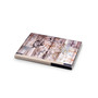 Frozen in Time Placemats, Set of 4