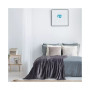 Solid Plush Blanket, Twin